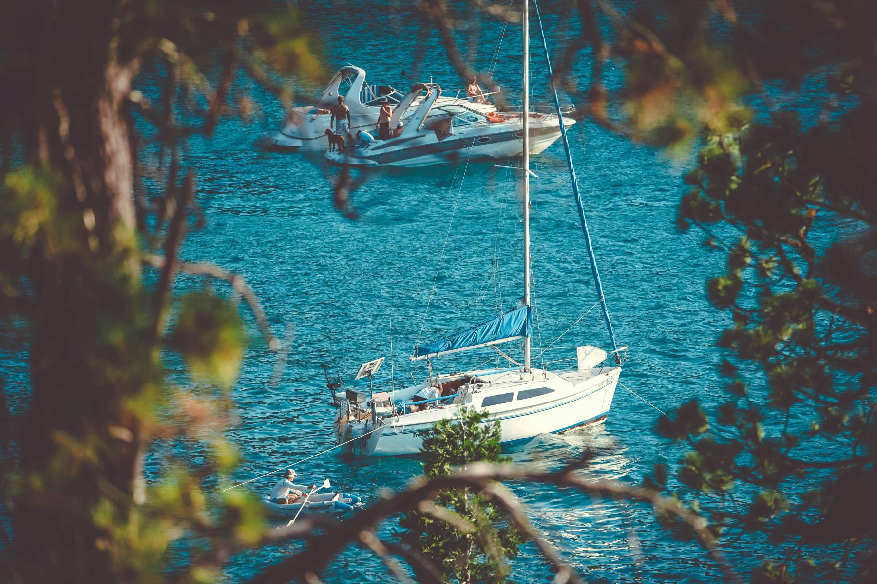 Several yachts and pleasure boats photographed from the shoreline through Mediterranean foliage.